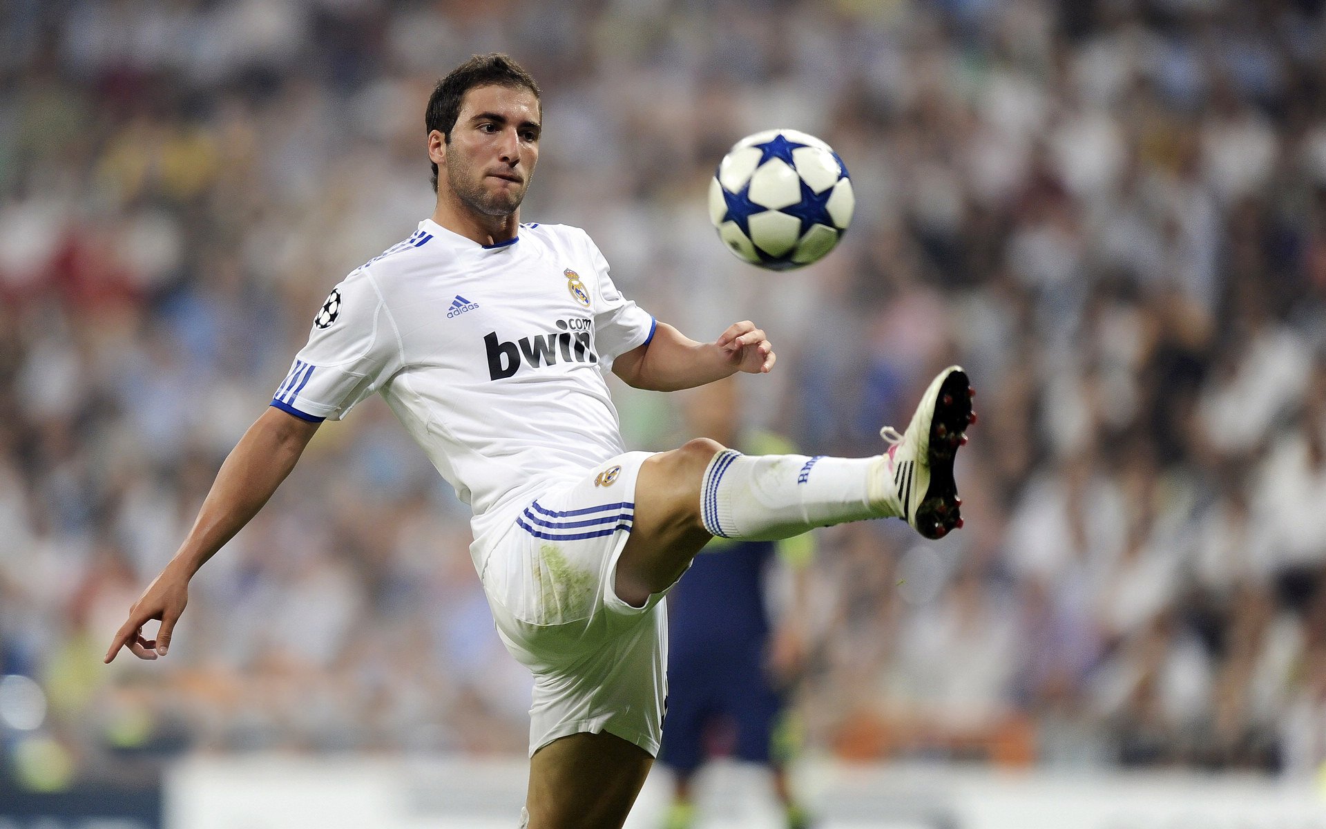 kaiyun.com-博卡青年主场连胜势头强劲，博卡青年球迷